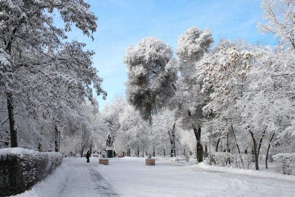 park landscape in winter Game of Climate Zones Foto Colourbox com 1493595 cropped